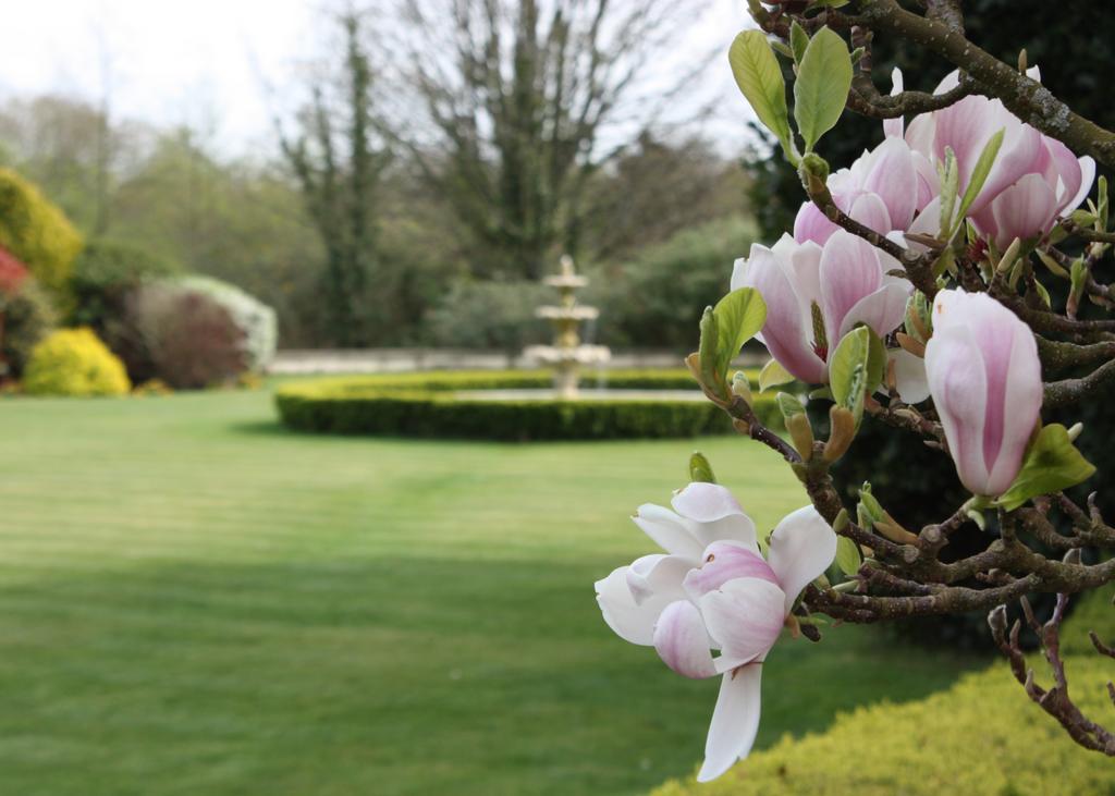 St Mellons Hotel & Spa Cardiff Dış mekan fotoğraf